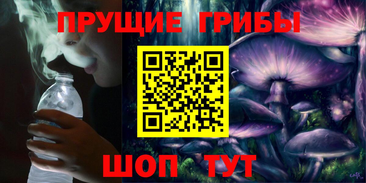 Псилоцибиновые грибы мицелий  Вход с VPN  Гудермес 